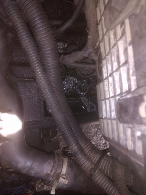 IMG_20201003_112906-min.jpg (679.9 KiB) 4841 mal betrachtet IMG_20201003_112906-min.jpg