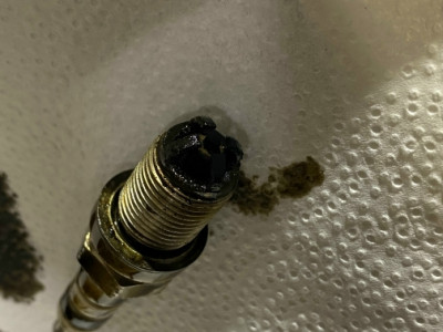 IMG_1021.jpg (147 KiB) 8476 mal betrachtet IMG_1021.jpg