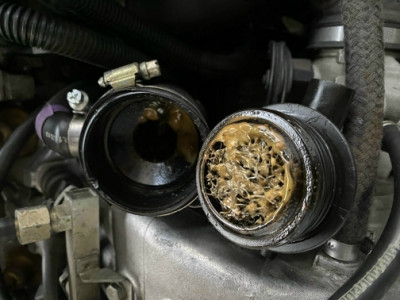 IMG_1044.jpg (159.93 KiB) 7276 mal betrachtet IMG_1044.jpg