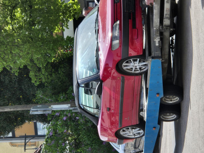 Cabrio Hänger 1.jpg