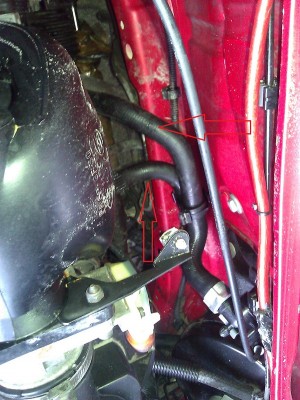 WP_000124.jpg (229.12 KiB) 2413 mal betrachtet WP_000124.jpg