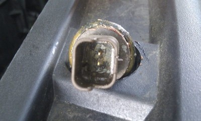 IMAG1305.jpg (64.96 KiB) 10800 mal betrachtet IMAG1305.jpg