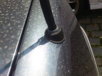 ant.jpg (103.89 KiB) 3388 mal betrachtet ant.jpg