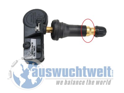 8363.jpg (195.57 KiB) 4873 mal betrachtet 8363.jpg